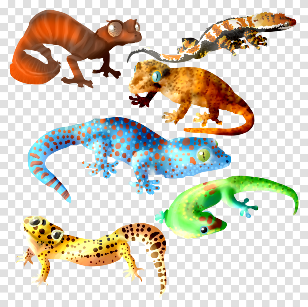 Dust Mask Clipart Cute Leopard Gecko Art, Animal, Lizard, Reptile, Amphibian Transparent Png