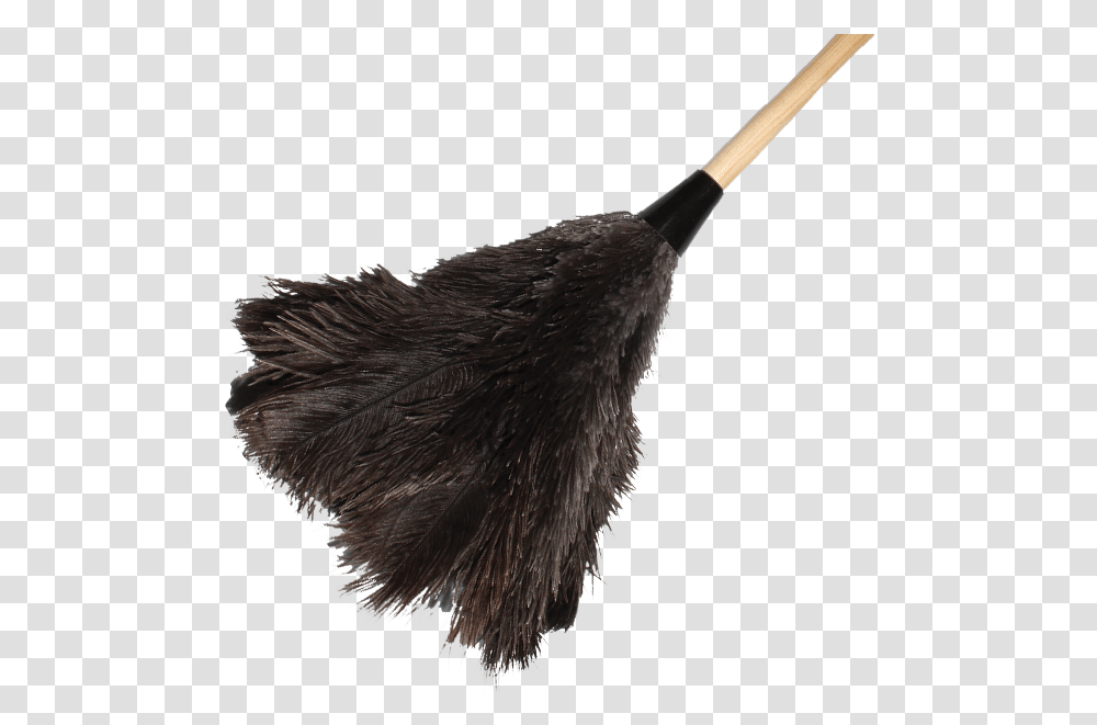 Duster Cleaning Cleaning Duster Icon, Bird, Animal, Broom, Brush Transparent Png