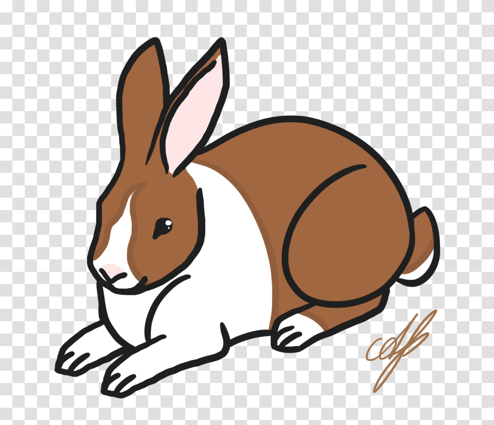 Dutch Rabbit, Animal, Mammal, Rodent, Bunny Transparent Png