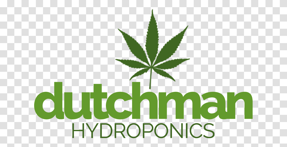 Dutchman HydroponicsItemprop Logo Cannabis Leaf, Plant, Vegetation, Weed, Poster Transparent Png