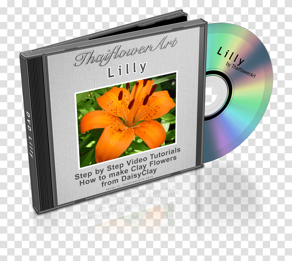 Dvd Lilly, Disk, Text, Plant, Flower Transparent Png