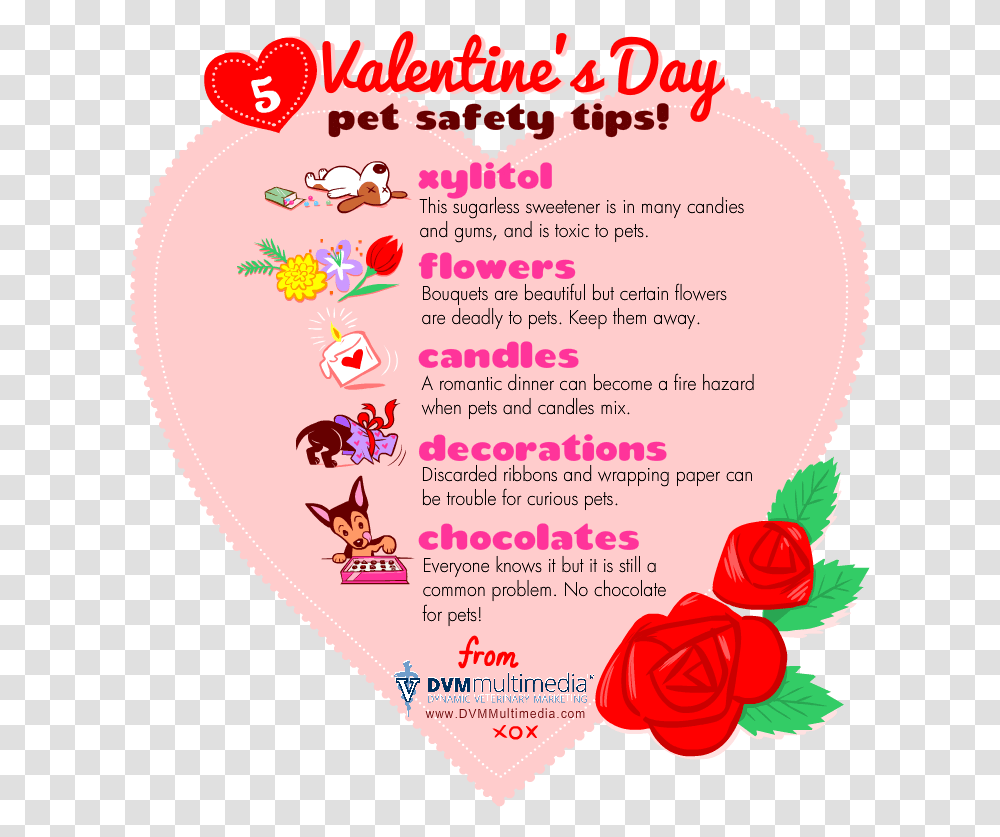 Dvm Valentine Valentines Pet Safety Tips, Poster, Advertisement, Flyer, Paper Transparent Png