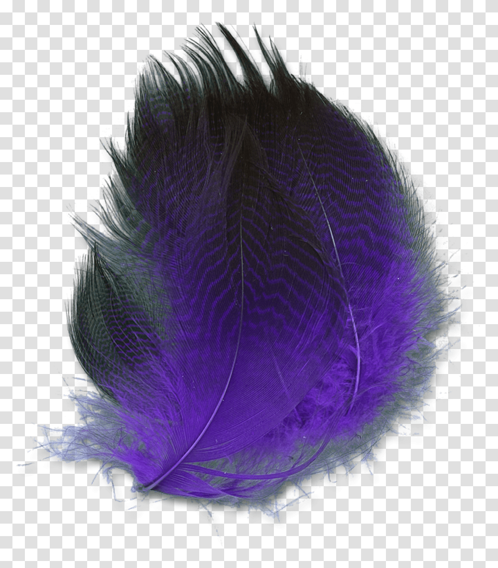 Dyed Gadwall Purple Oval Transparent Png