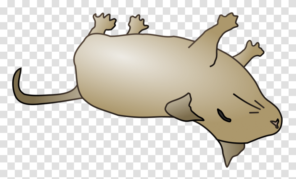 Dying Clipart Dead Mouse, Mammal, Animal, Mole, Wildlife Transparent Png