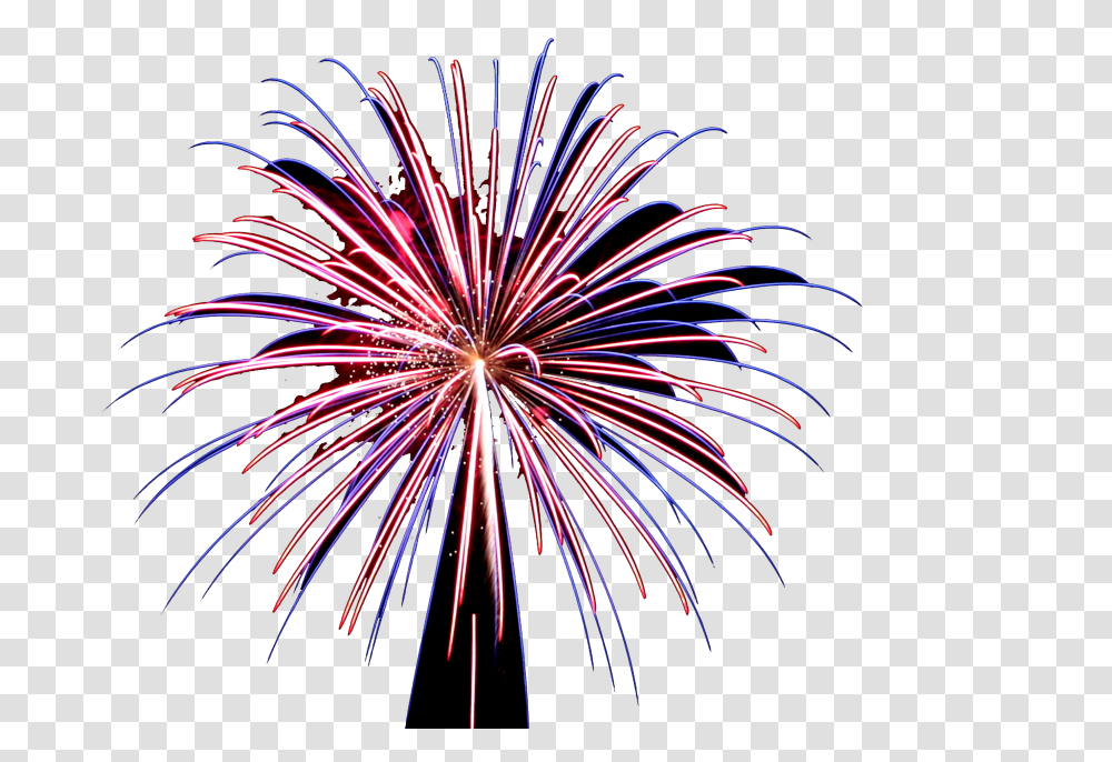 Dynamite Fireworks Serving North Texas Since, Nature, Outdoors, Night, Plant Transparent Png