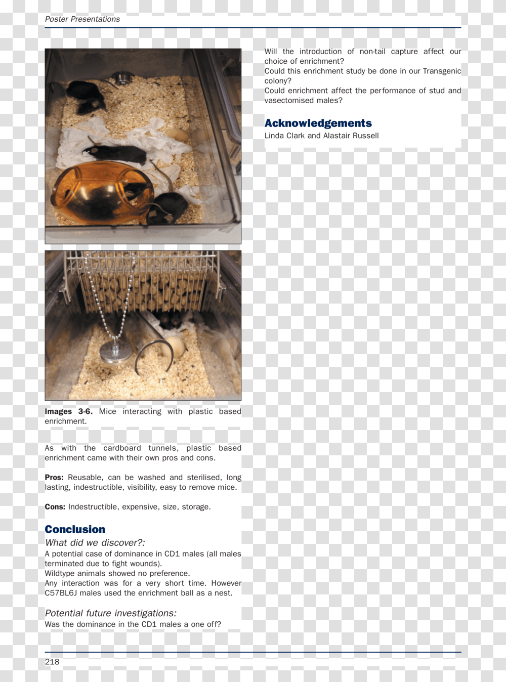 E S Animal Technology And Welfare 3 12 19 14, Accessories, Jewelry Transparent Png