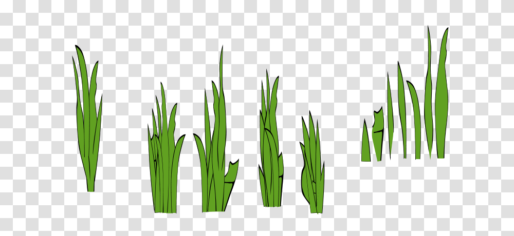 Eady Grass Blades And Clumps, Nature, Plant, Produce, Food Transparent Png