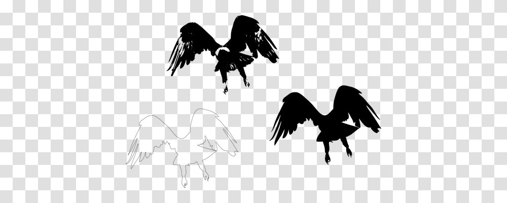 Eagle Animals, Gray, World Of Warcraft Transparent Png