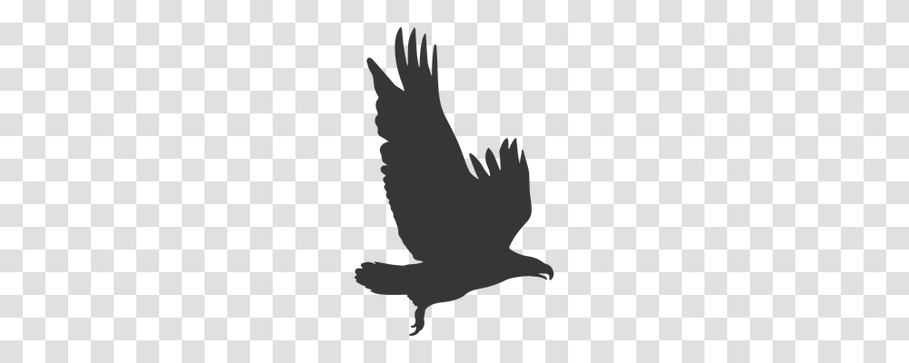 Eagle Nature, Animal, Mammal, Silhouette Transparent Png