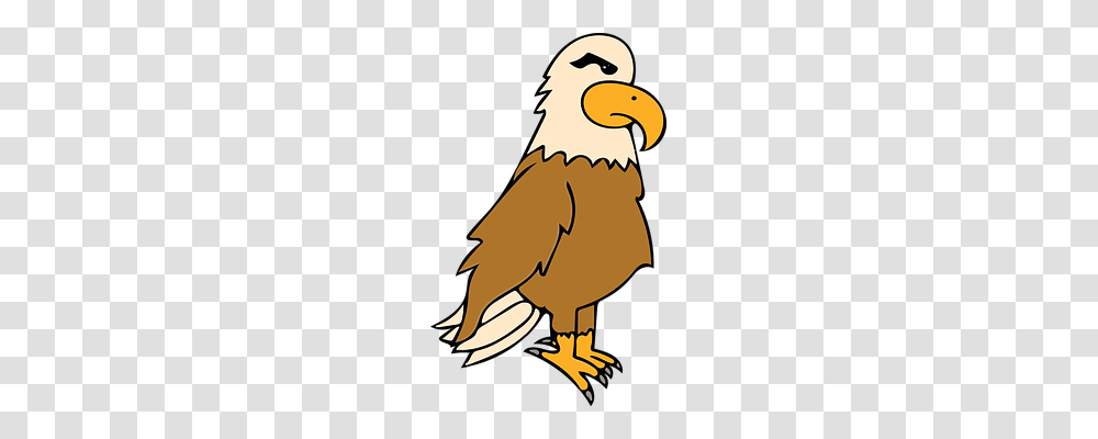 Eagle Animals, Bird, Vulture, Poster Transparent Png