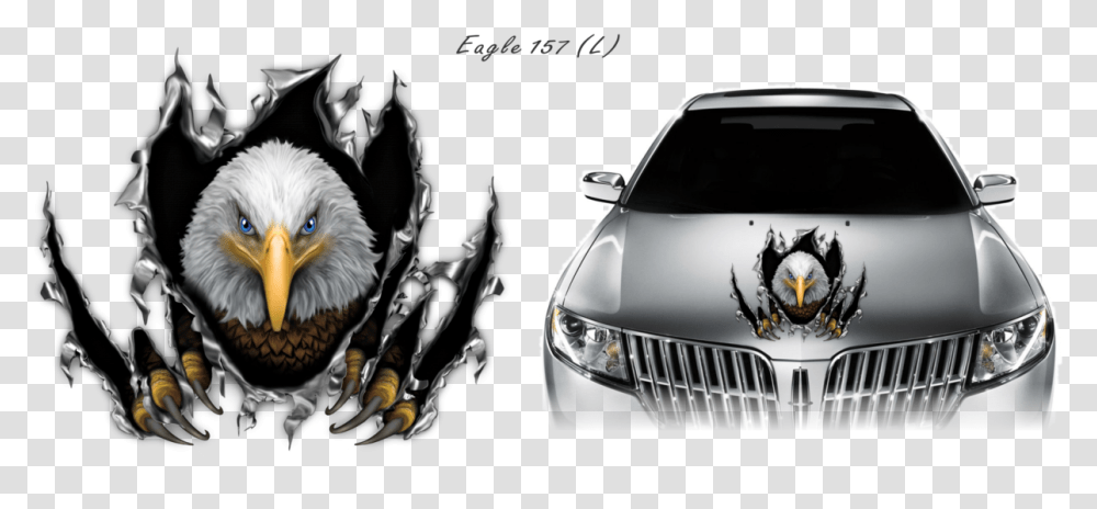 Eagle 157 Lincoln Mkz, Car, Vehicle, Transportation, Bird Transparent Png