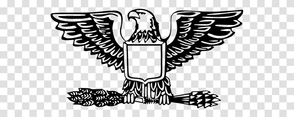 Eagle Animals, Gray, World Of Warcraft Transparent Png