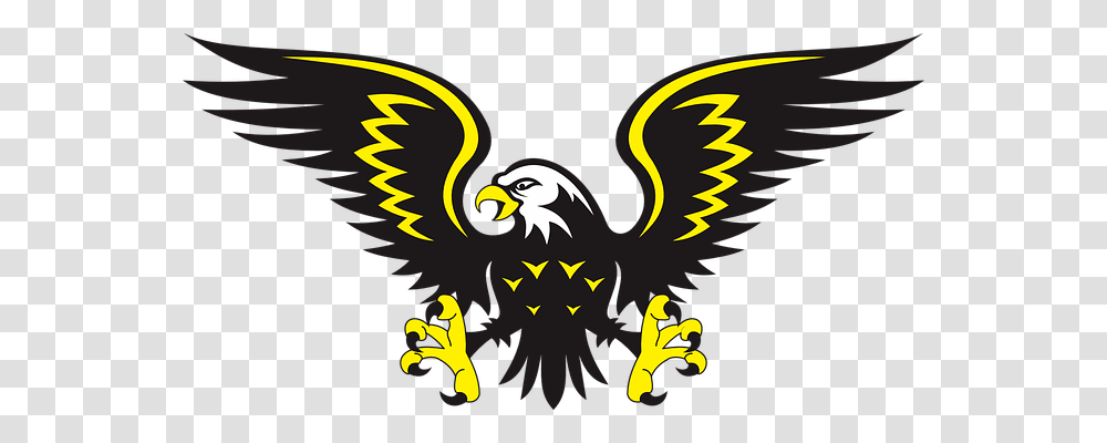 Eagle Emotion, Bird, Animal Transparent Png