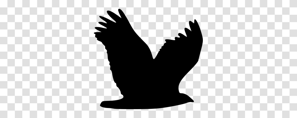 Eagle Animals, Gray, World Of Warcraft Transparent Png