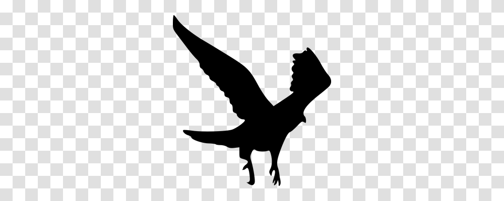 Eagle Animals, Gray, World Of Warcraft Transparent Png