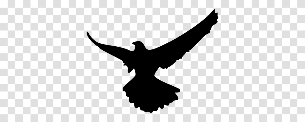 Eagle Animals, Gray, World Of Warcraft Transparent Png