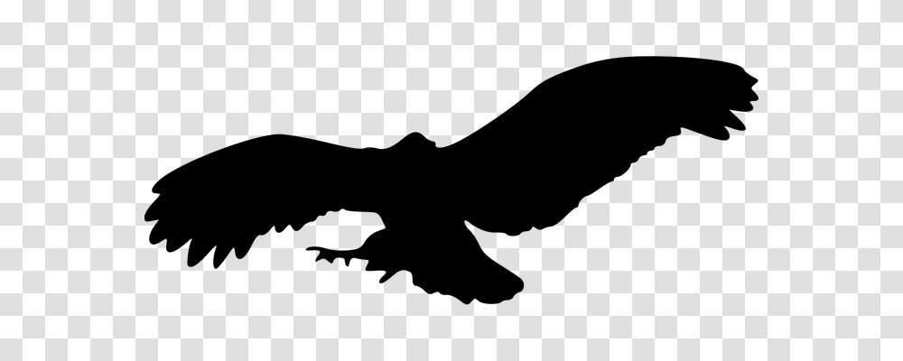 Eagle Animals, Gray, World Of Warcraft Transparent Png