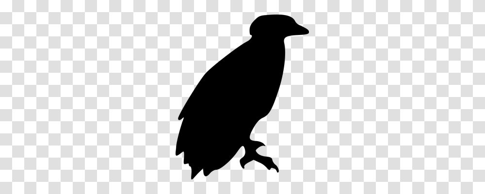 Eagle Animals, Gray, World Of Warcraft Transparent Png