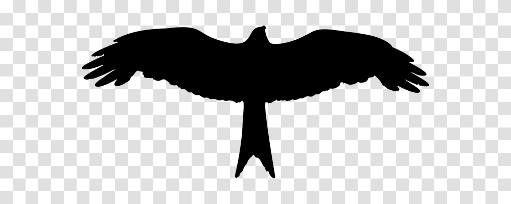 Eagle Animals, Gray, World Of Warcraft Transparent Png