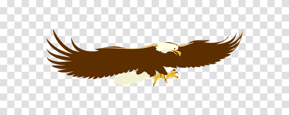 Eagle Animals, Bird, Vulture, Flying Transparent Png
