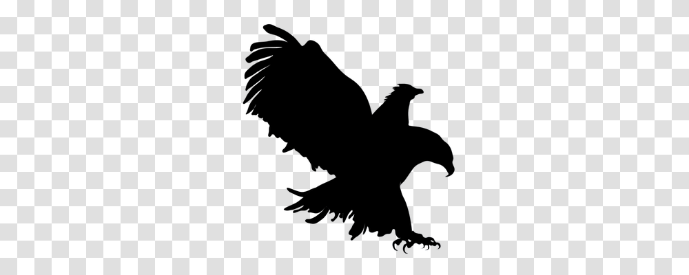 Eagle Animals, Dance Pose, Leisure Activities, Silhouette Transparent Png