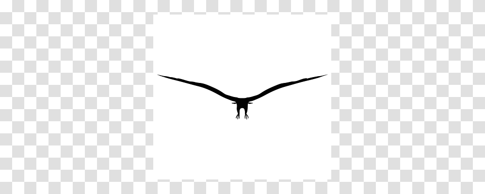 Eagle Flying, Bird, Animal, Silhouette Transparent Png