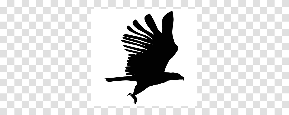 Eagle Silhouette, Animal, Bird, Stencil Transparent Png