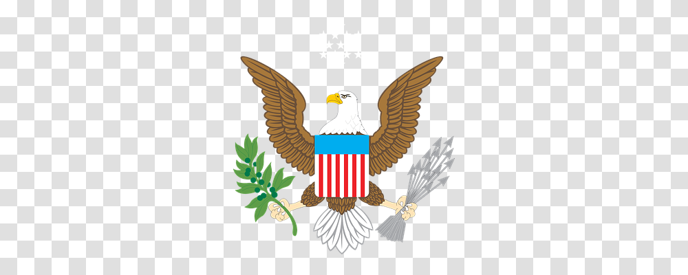 Eagle Animals, Bird, Bald Eagle Transparent Png