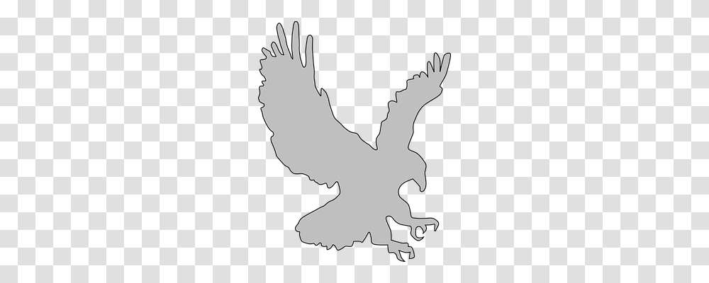 Eagle Animals, Silhouette, Person, Human Transparent Png