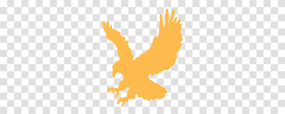 Eagle Animals, Leaf, Plant, Poster Transparent Png