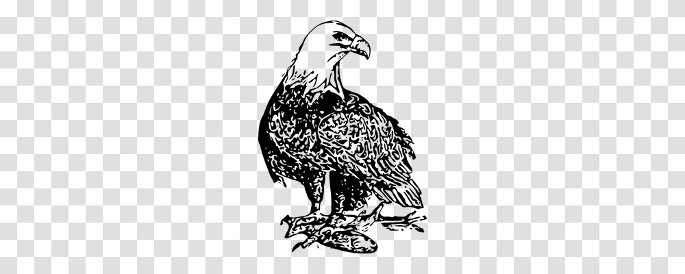 Eagle Animals, Nature, Outdoors, Night Transparent Png