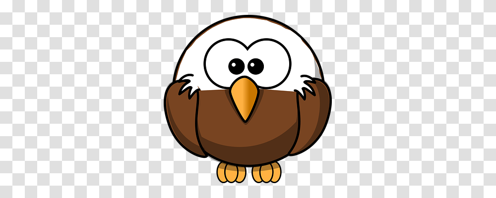 Eagle Animals, Bird, Helmet Transparent Png