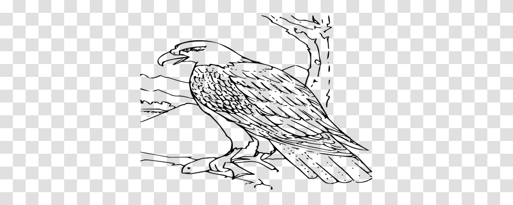 Eagle Animals, Gray, World Of Warcraft Transparent Png