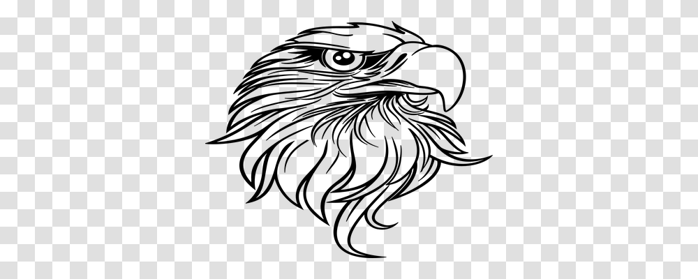 Eagle Animals, Gray, World Of Warcraft Transparent Png