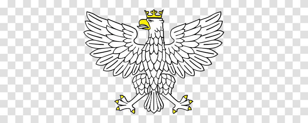 Eagle Animals, Bird, Emblem Transparent Png