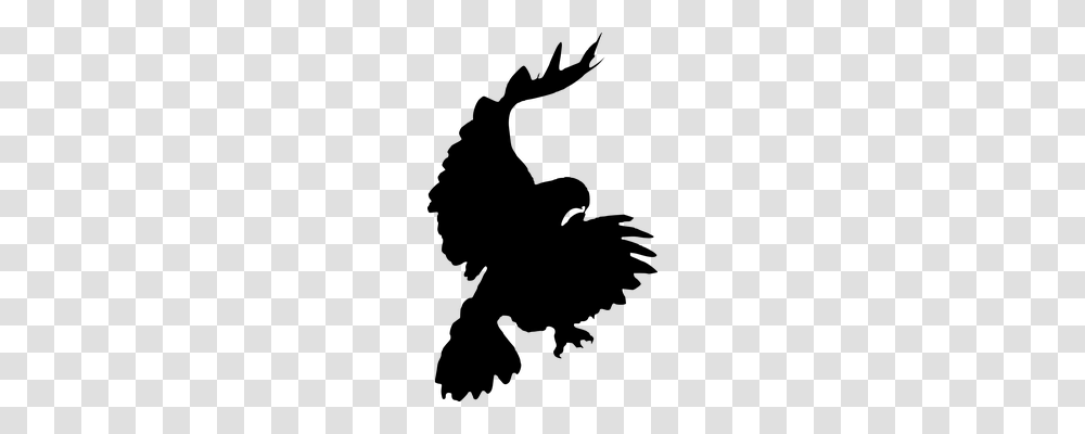 Eagle Animals, Gray, World Of Warcraft Transparent Png