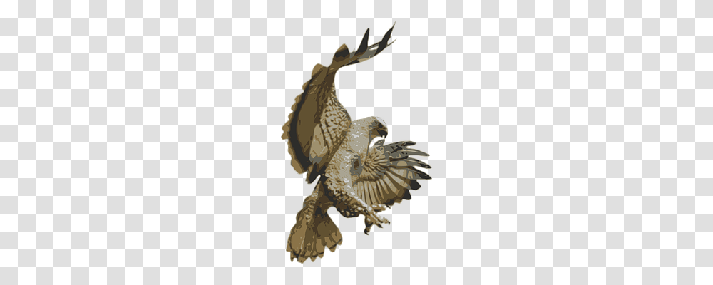 Eagle Animals, Bird, Bronze, Owl Transparent Png