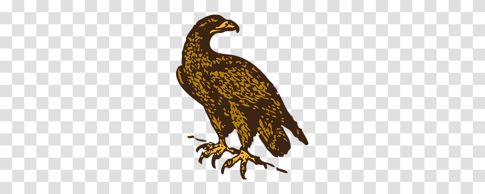 Eagle Animals, Bird, Dodo Transparent Png