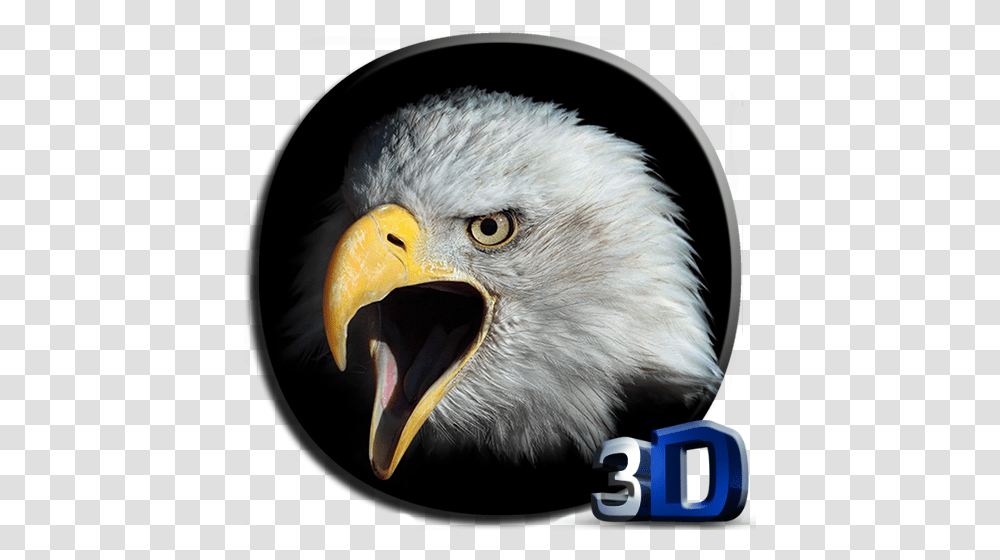 Eagle 3d Video Live Wallpaper Apps On Google Play License Plate Eagle Flag, Bird, Animal, Beak, Bald Eagle Transparent Png
