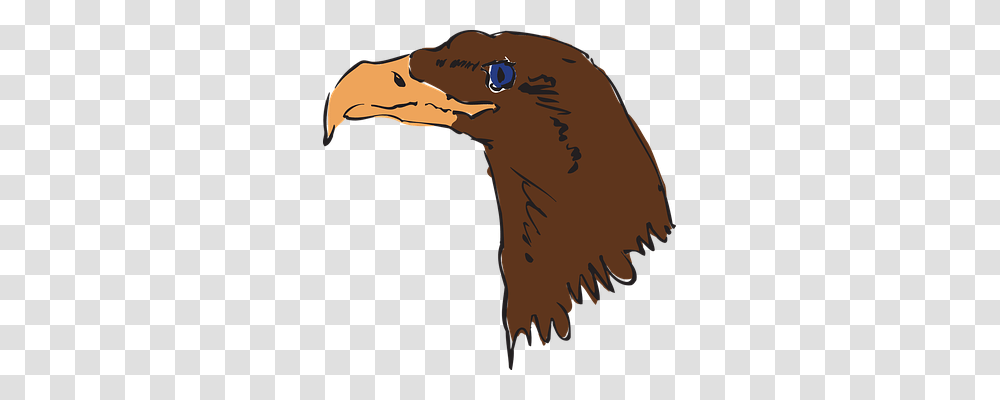 Eagle Animals, Bird, Beak, Vulture Transparent Png