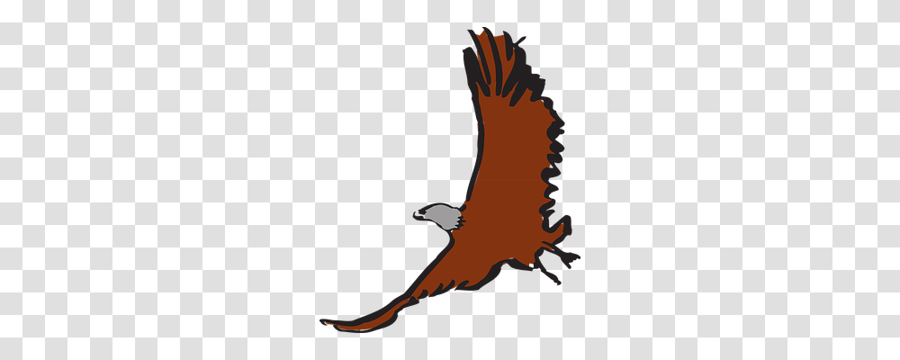 Eagle Nature, Animal, Mammal, Bat Transparent Png