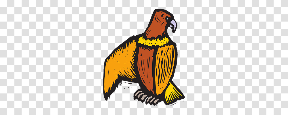 Eagle Animals, Bird, Beak Transparent Png