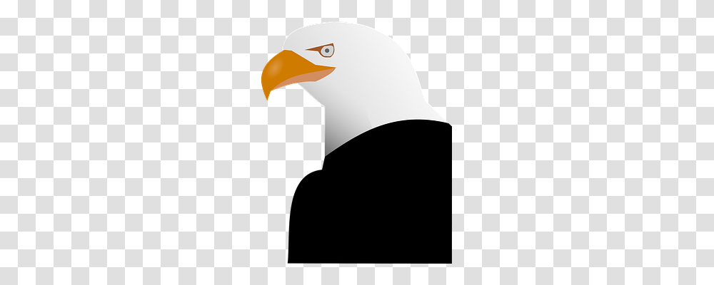 Eagle Bird, Animal, Beak, Baseball Cap Transparent Png