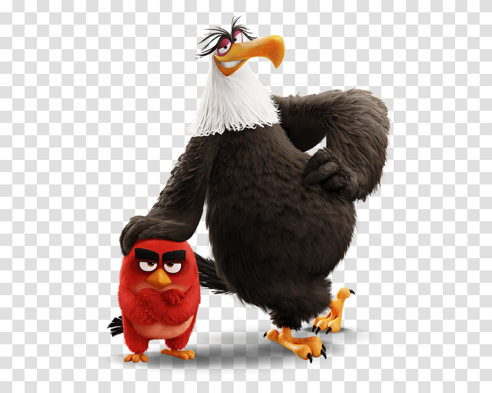 Eagle Angry Bird Movie, Chicken, Poultry, Fowl, Animal Transparent Png
