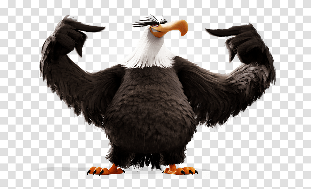 Eagle Angry Birds, Beak, Animal, Chicken, Poultry Transparent Png