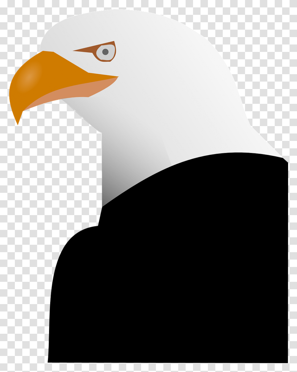 Eagle Animal Beak Bald Feather Spread Icon, Bird, Fowl, Poultry, Vulture Transparent Png
