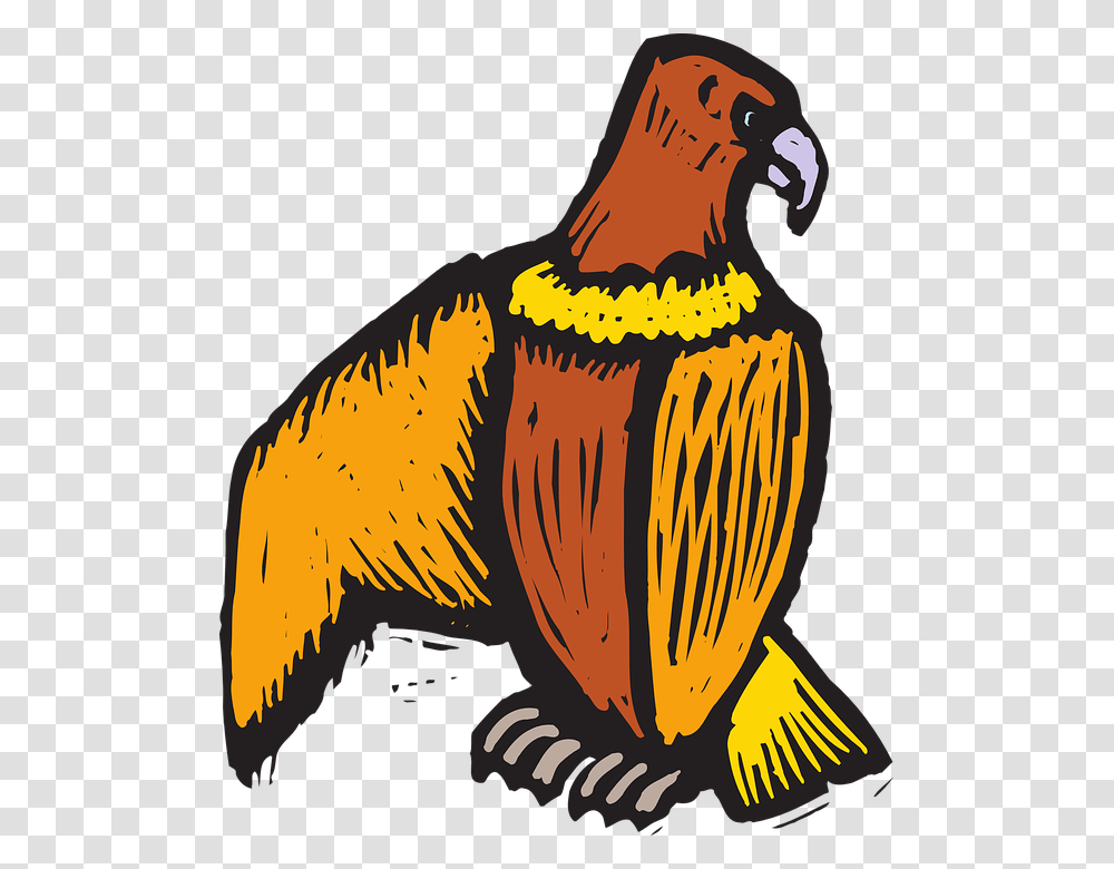 Eagle, Animal, Beak, Bird, Blackbird Transparent Png