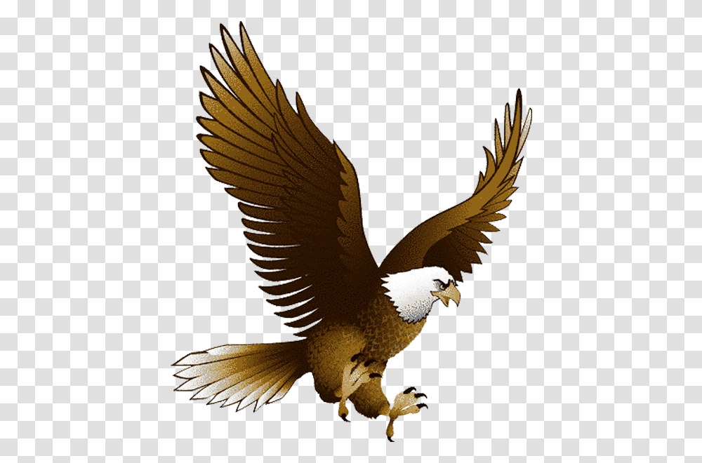 Eagle, Animals, Bird, Kite Bird, Flying Transparent Png