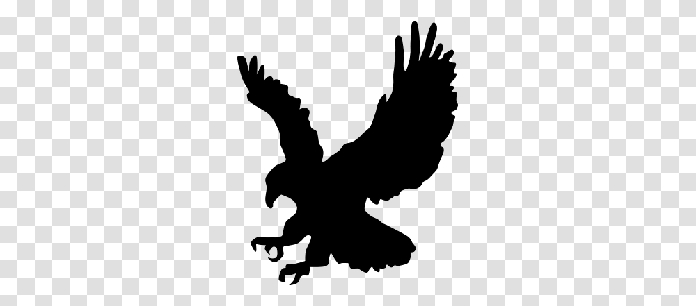 Eagle, Animals, Gray, World Of Warcraft Transparent Png