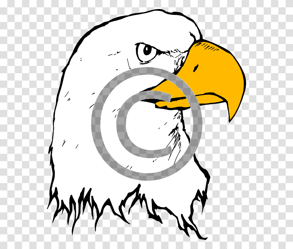 Eagle, Beak, Bird, Animal, Helmet Transparent Png